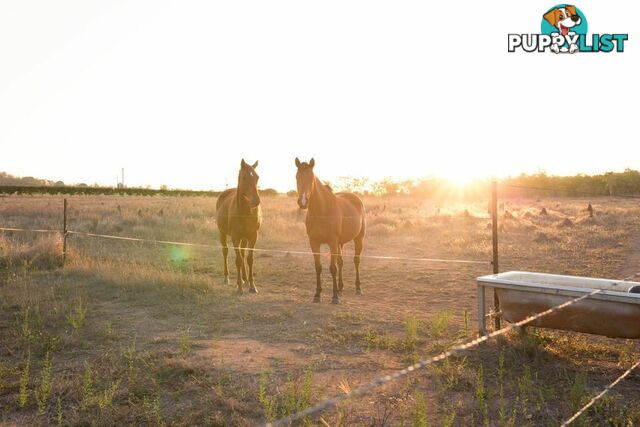 440 Chewko Road MAREEBA QLD 4880