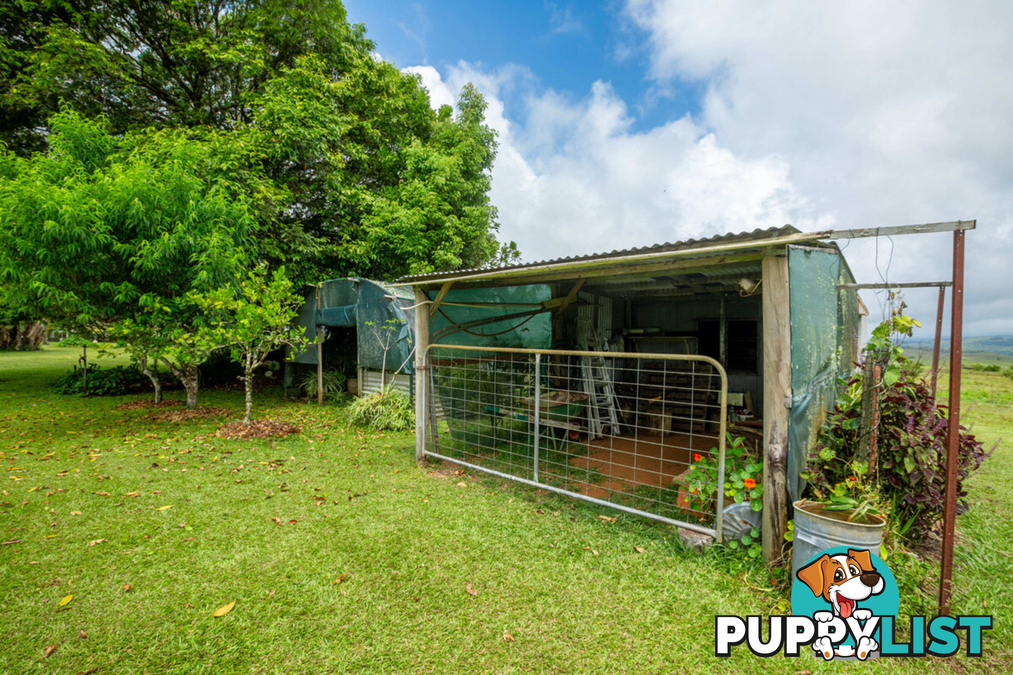 5373 Palmerston Highway MILLAA MILLAA QLD 4886