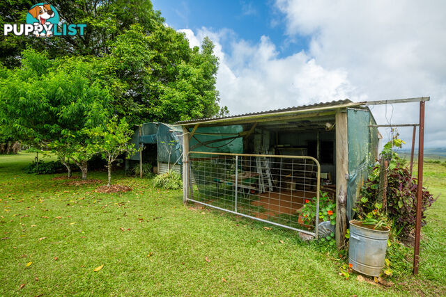 5373 Palmerston Highway MILLAA MILLAA QLD 4886