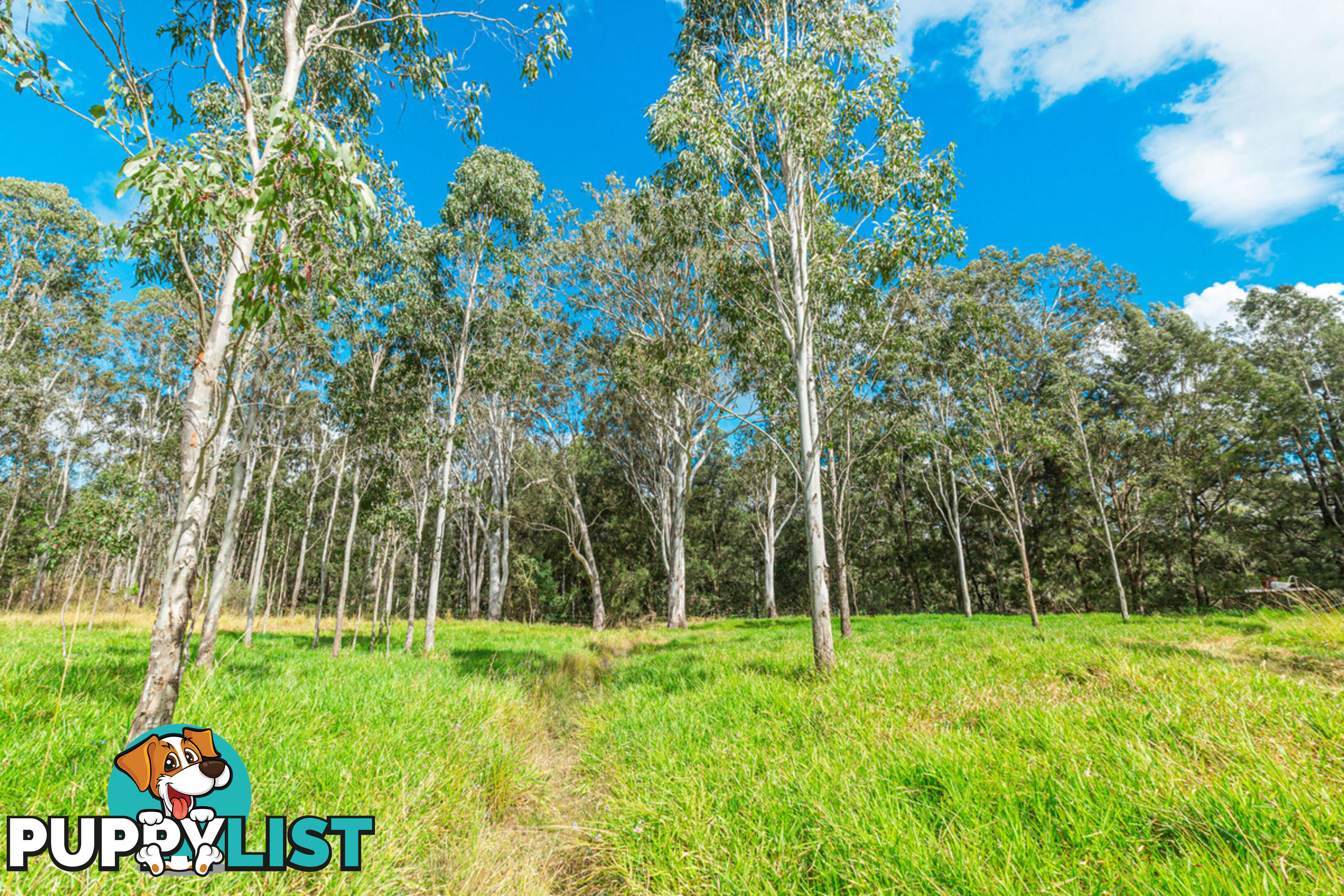 29 Harding Road WONDECLA QLD 4887
