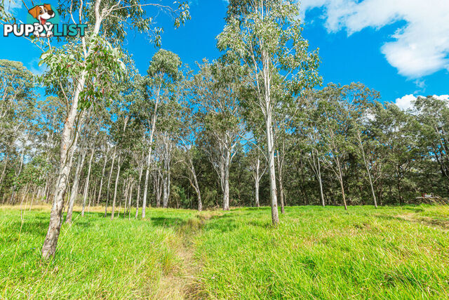29 Harding Road WONDECLA QLD 4887