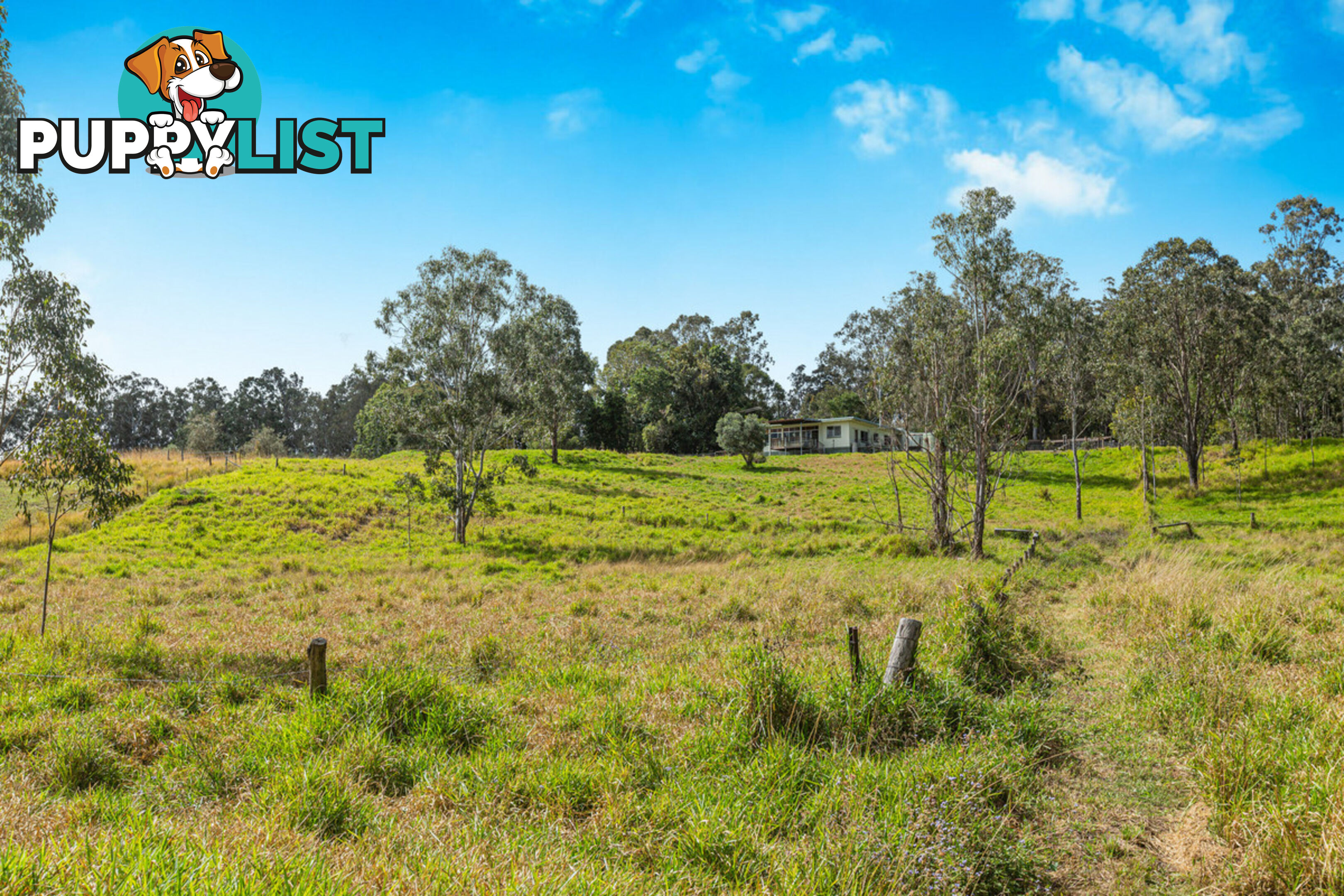 29 Harding Road WONDECLA QLD 4887