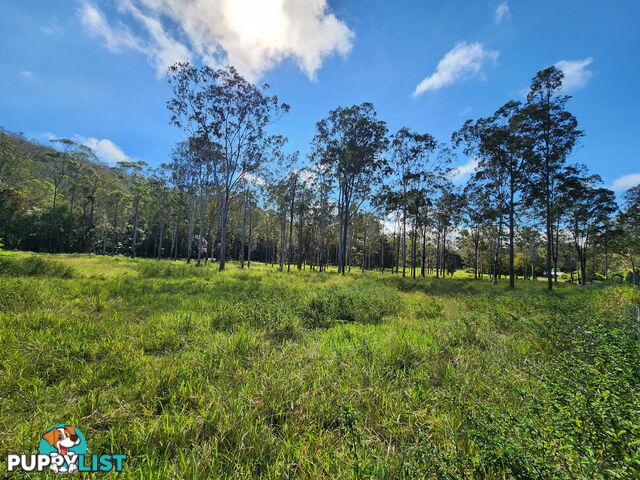 830 Herberton Road WONGABEL QLD 4883
