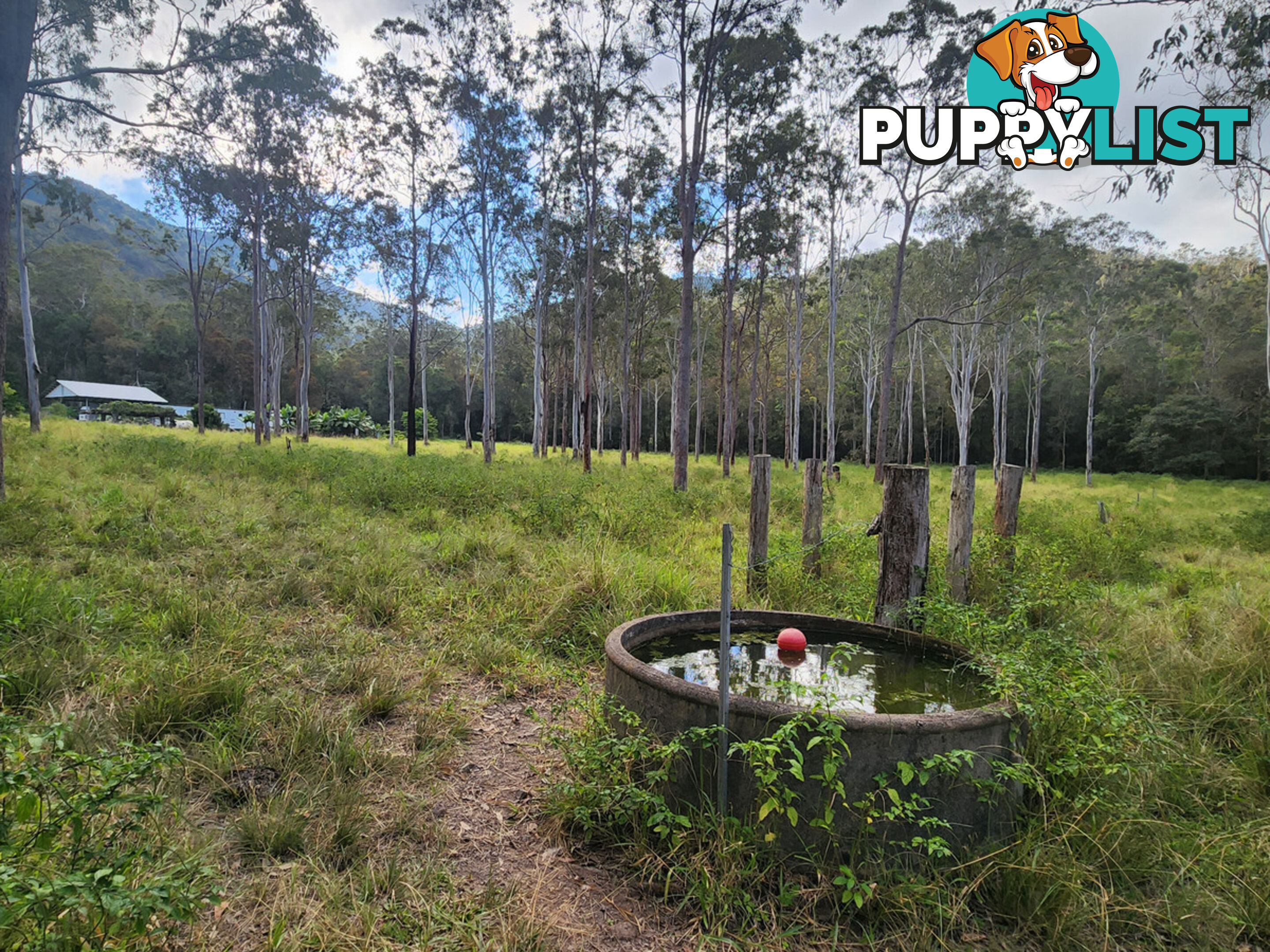 830 Herberton Road WONGABEL QLD 4883