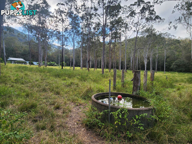 830 Herberton Road WONGABEL QLD 4883