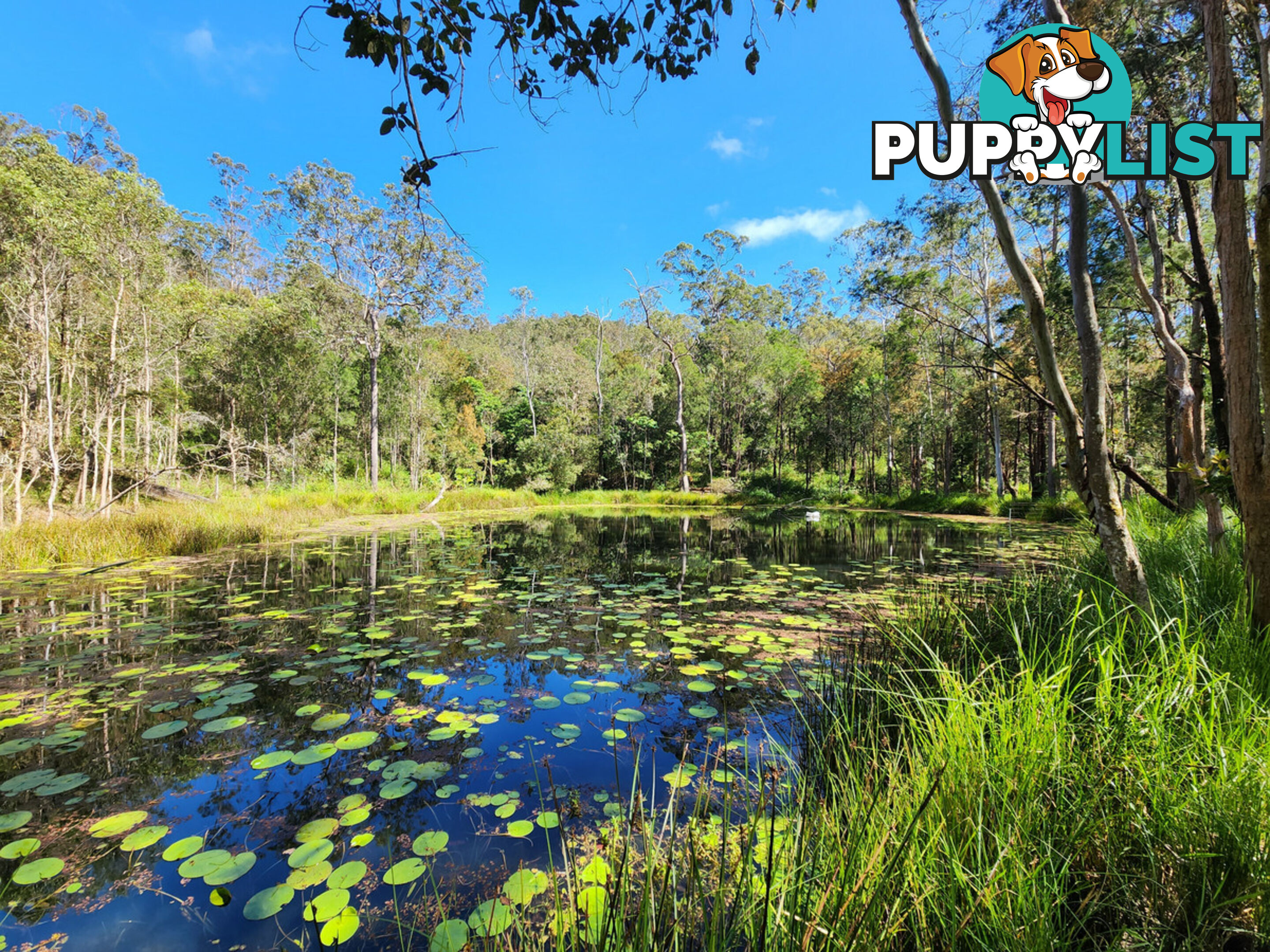830 Herberton Road WONGABEL QLD 4883