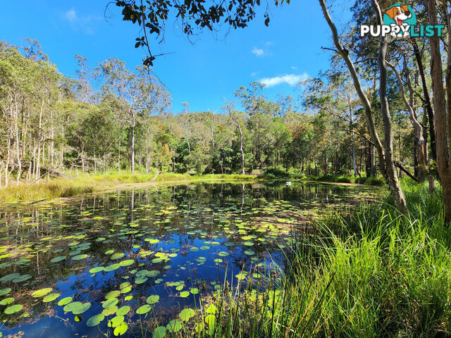 830 Herberton Road WONGABEL QLD 4883