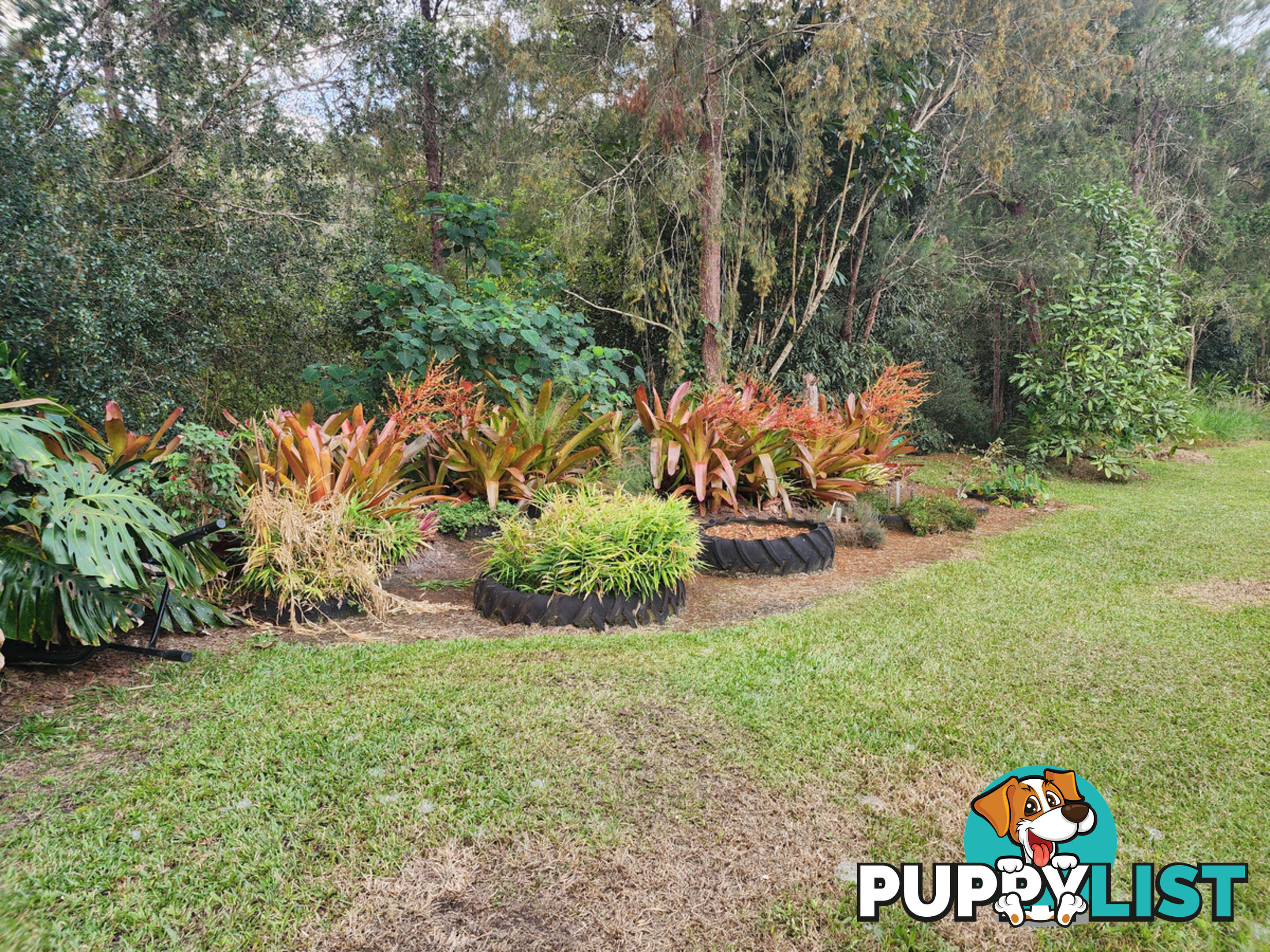 830 Herberton Road WONGABEL QLD 4883