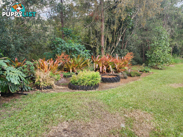 830 Herberton Road WONGABEL QLD 4883