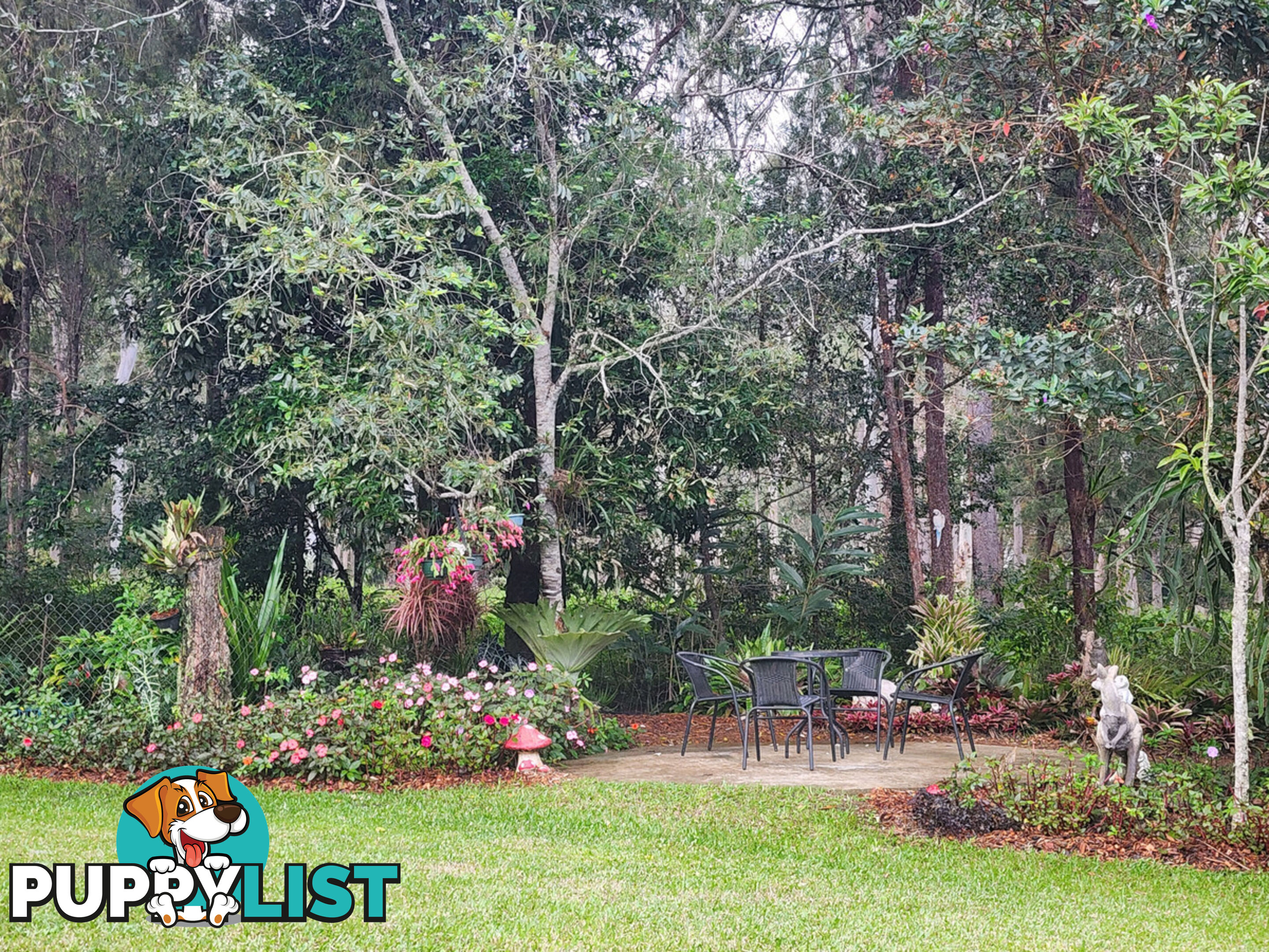 830 Herberton Road WONGABEL QLD 4883