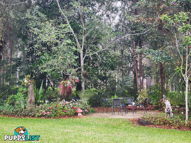 830 Herberton Road WONGABEL QLD 4883