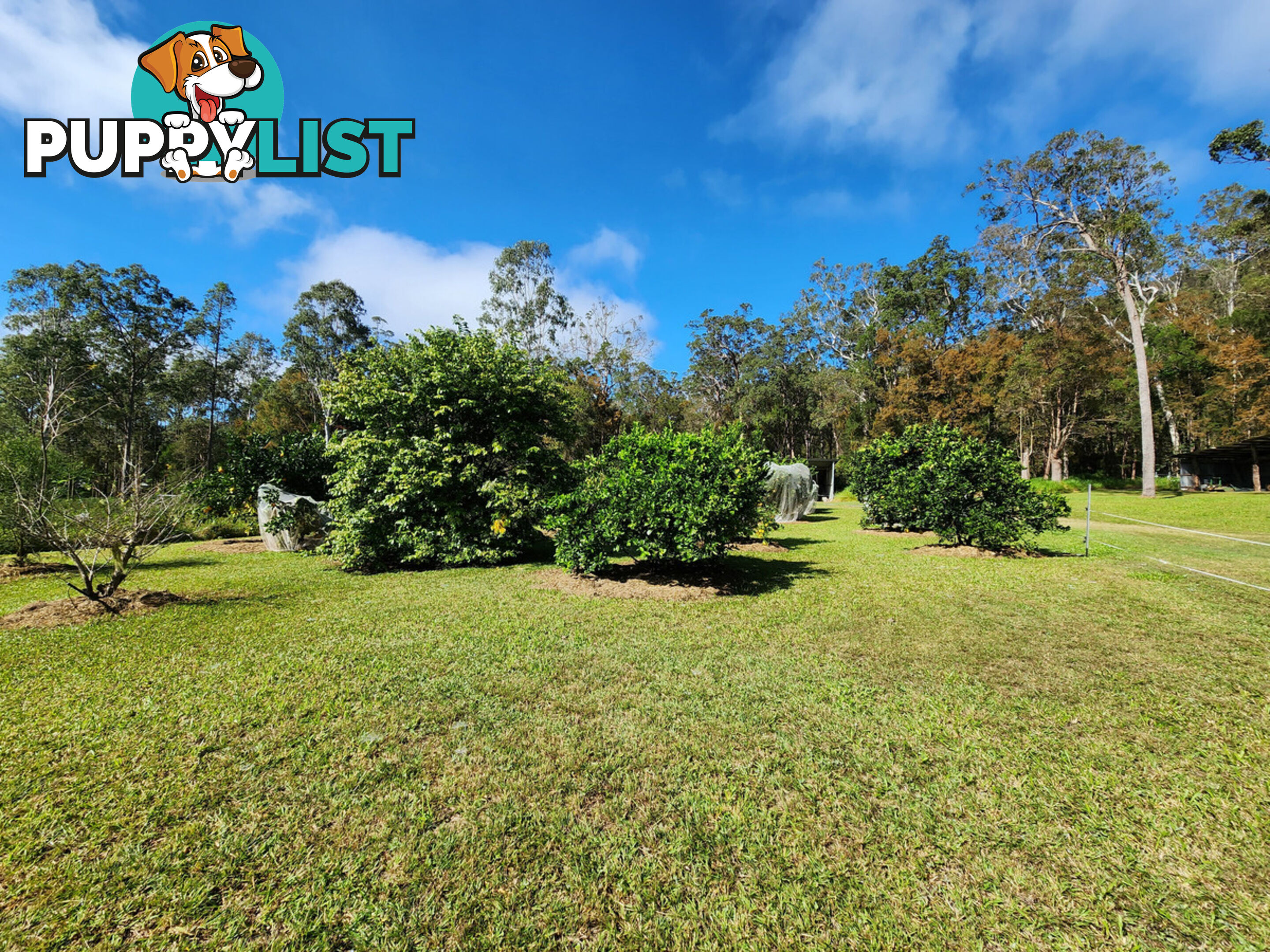830 Herberton Road WONGABEL QLD 4883
