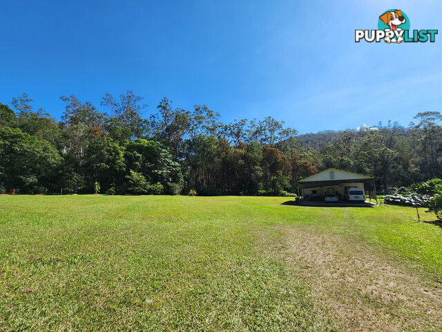 830 Herberton Road WONGABEL QLD 4883