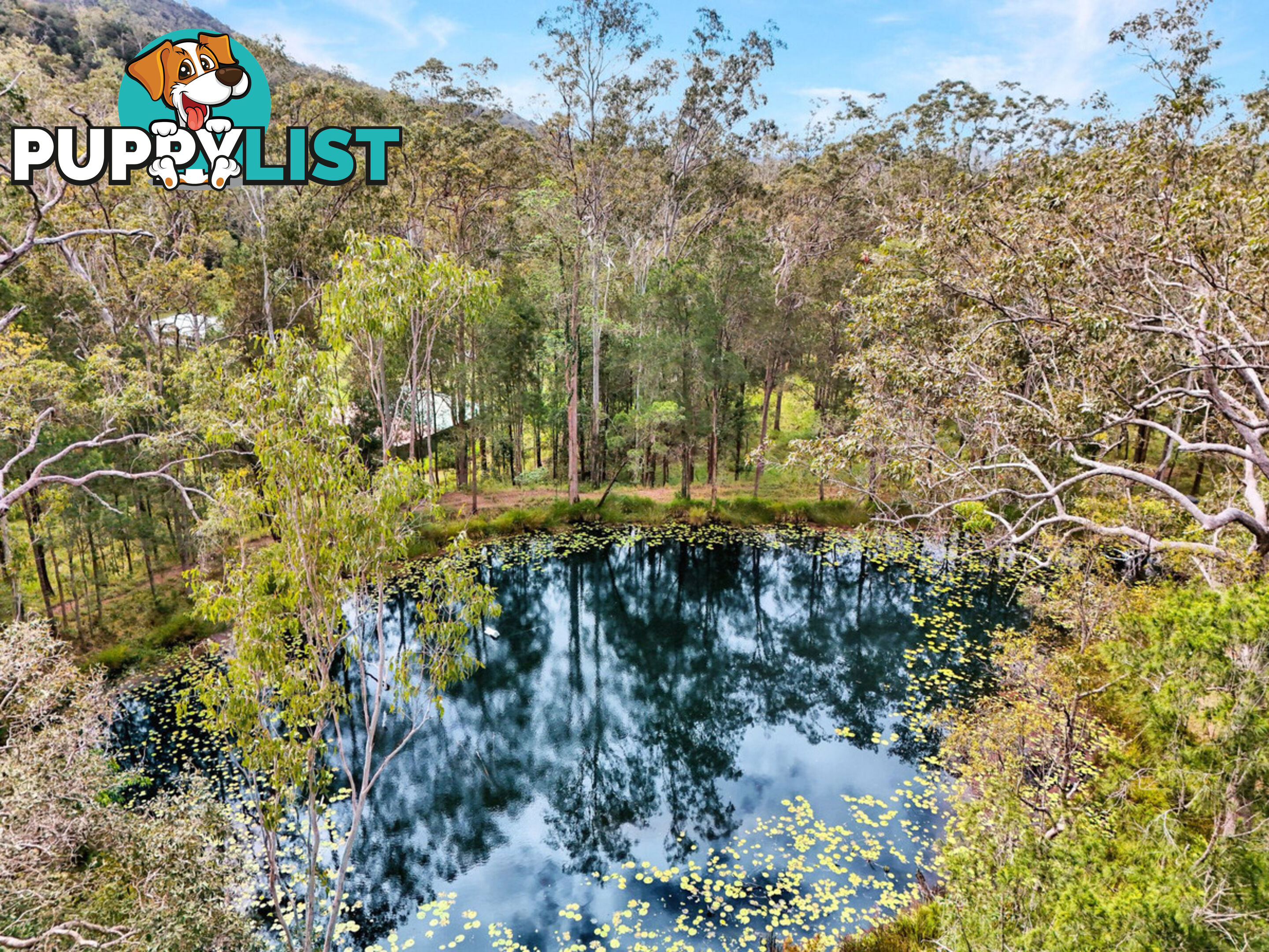 830 Herberton Road WONGABEL QLD 4883