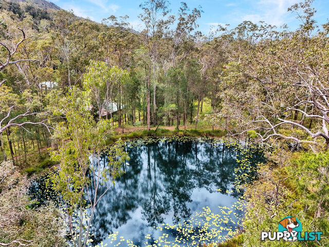 830 Herberton Road WONGABEL QLD 4883