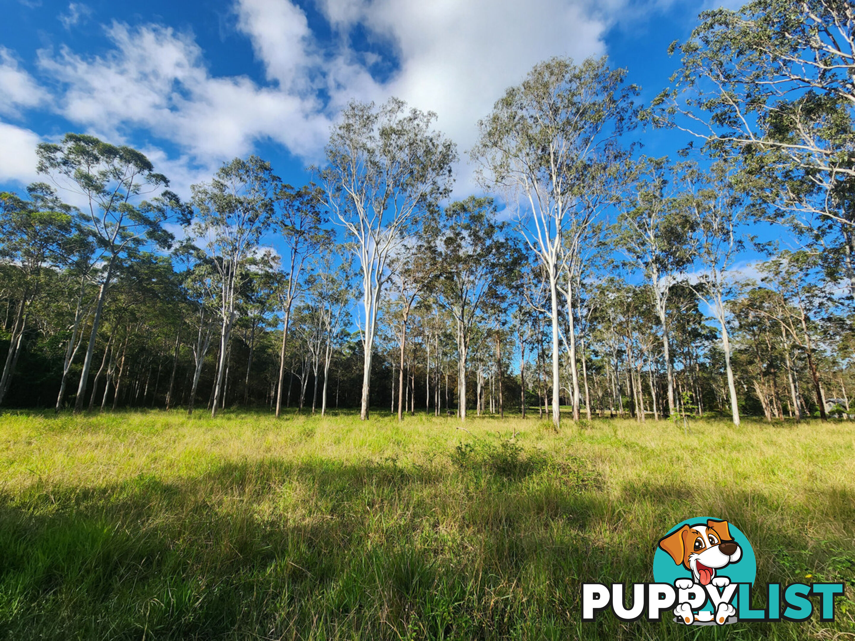 830 Herberton Road WONGABEL QLD 4883