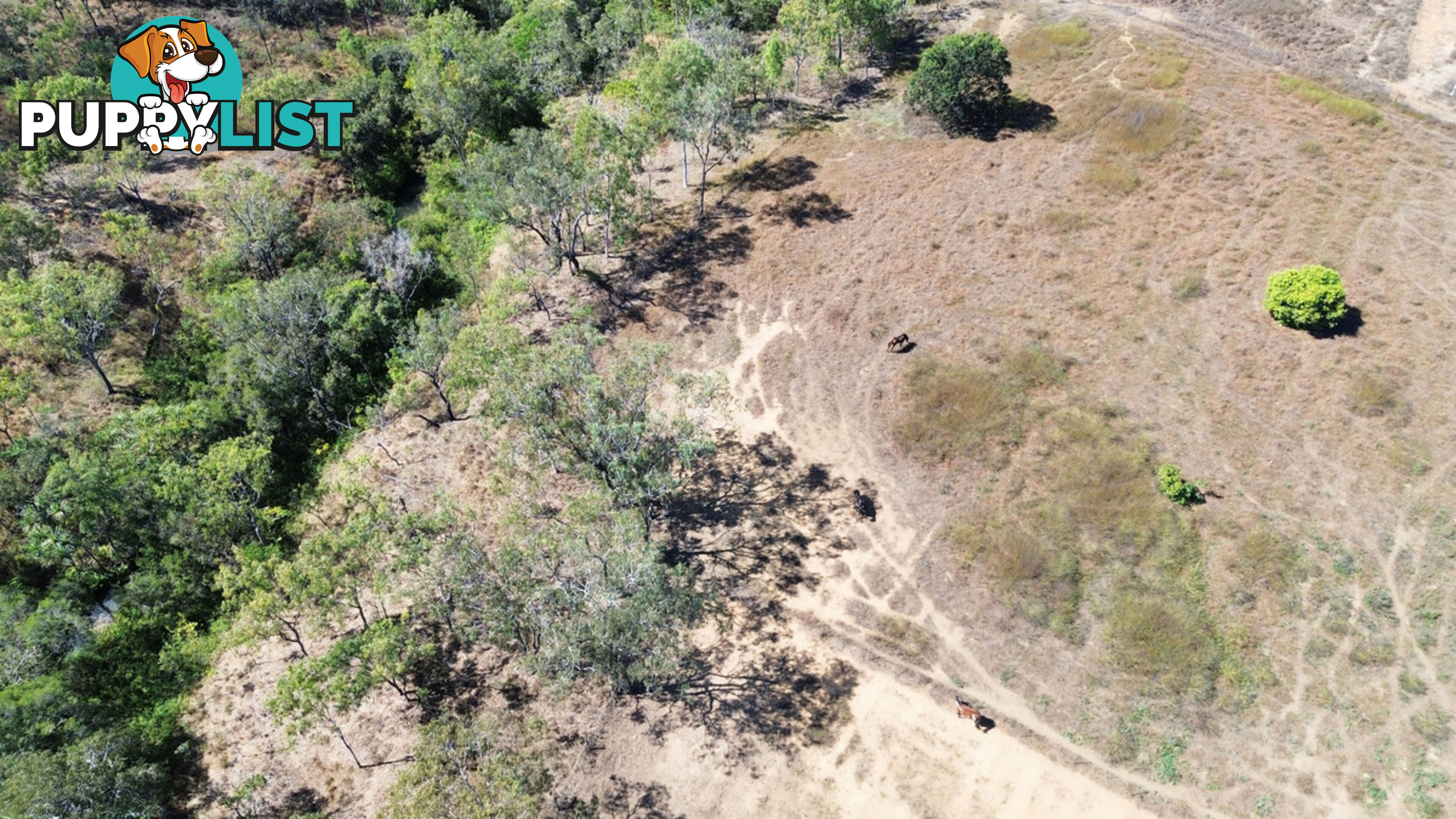 30 Peters Street MAREEBA QLD 4880