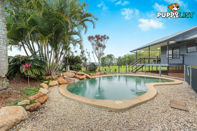 116 Chester Road WONDECLA QLD 4887