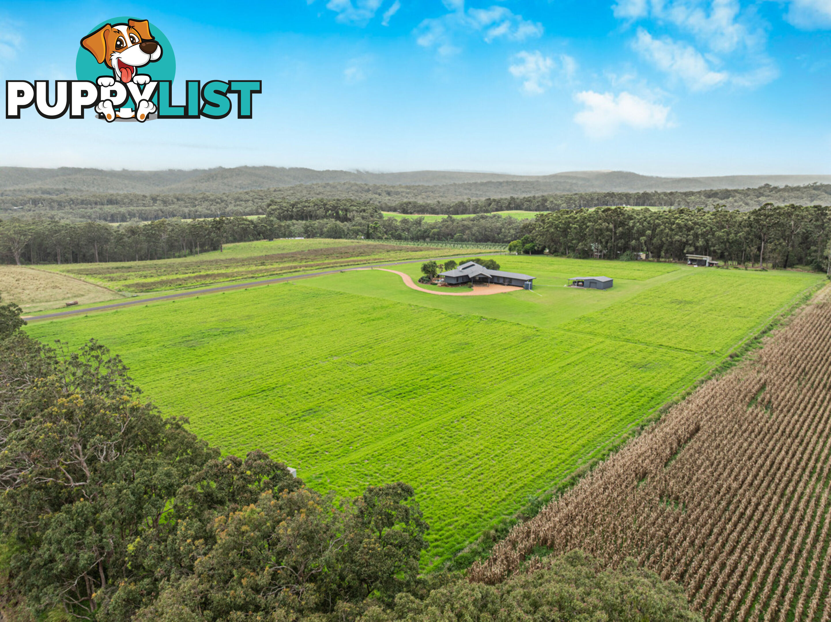 116 Chester Road WONDECLA QLD 4887