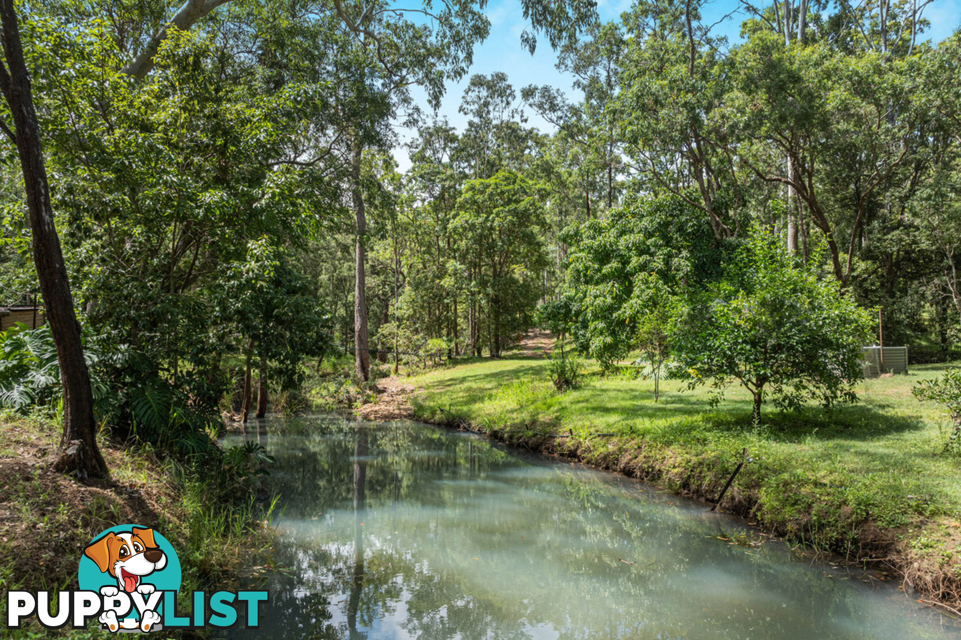 45 Greys Lane RAVENSHOE QLD 4888