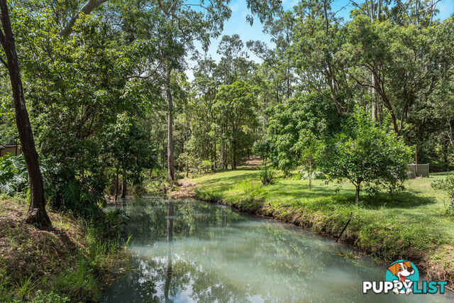 45 Greys Lane RAVENSHOE QLD 4888