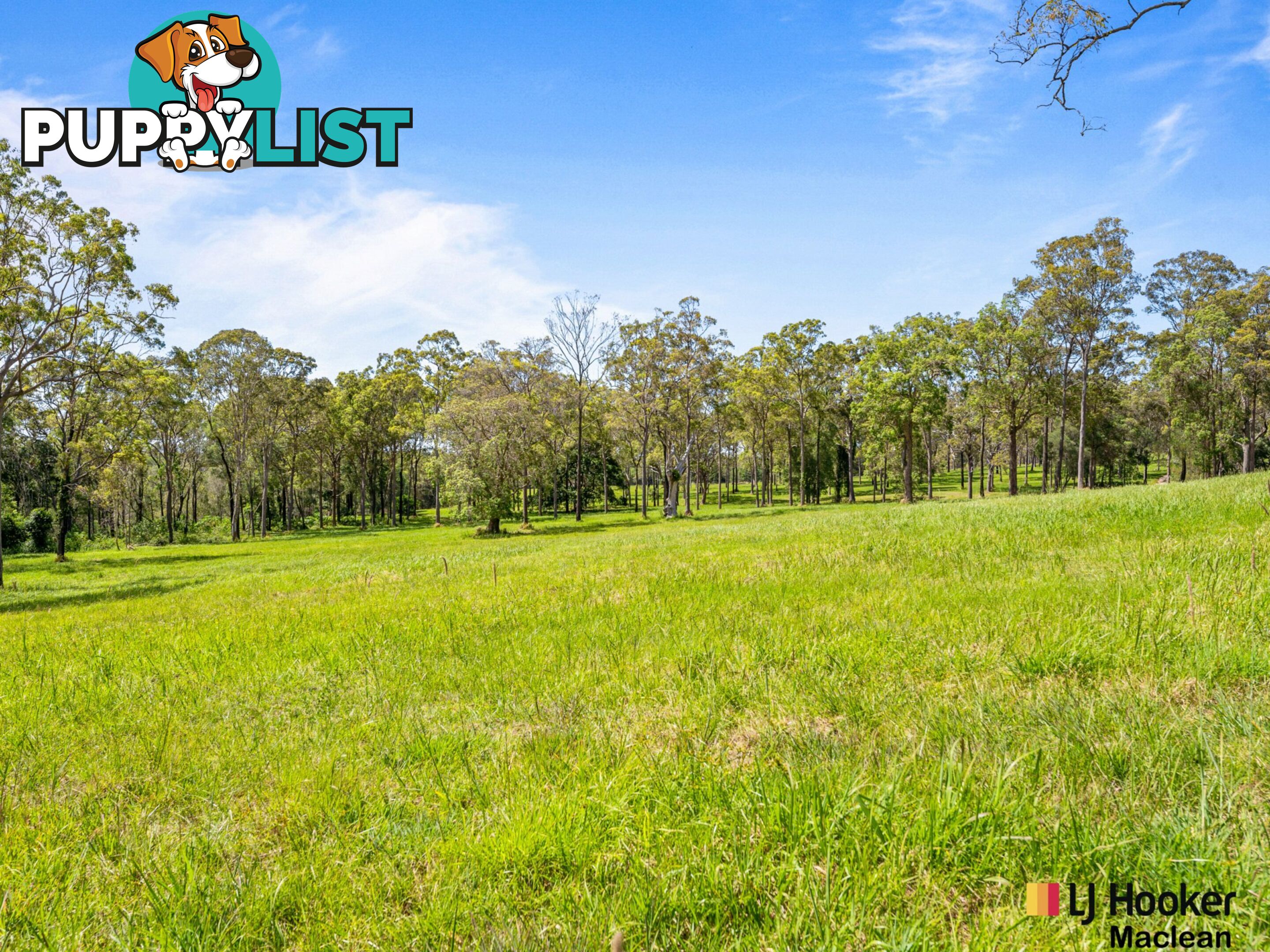 Lot 1 Bondi Hill Road, Tyndale Via MACLEAN NSW 2463