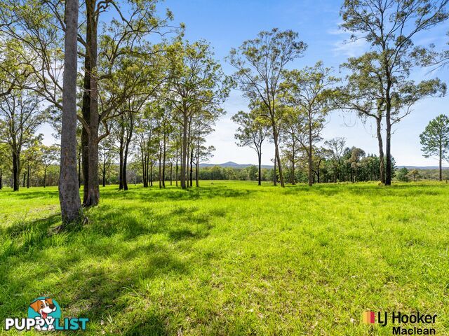 Lot 1 Bondi Hill Road, Tyndale Via MACLEAN NSW 2463