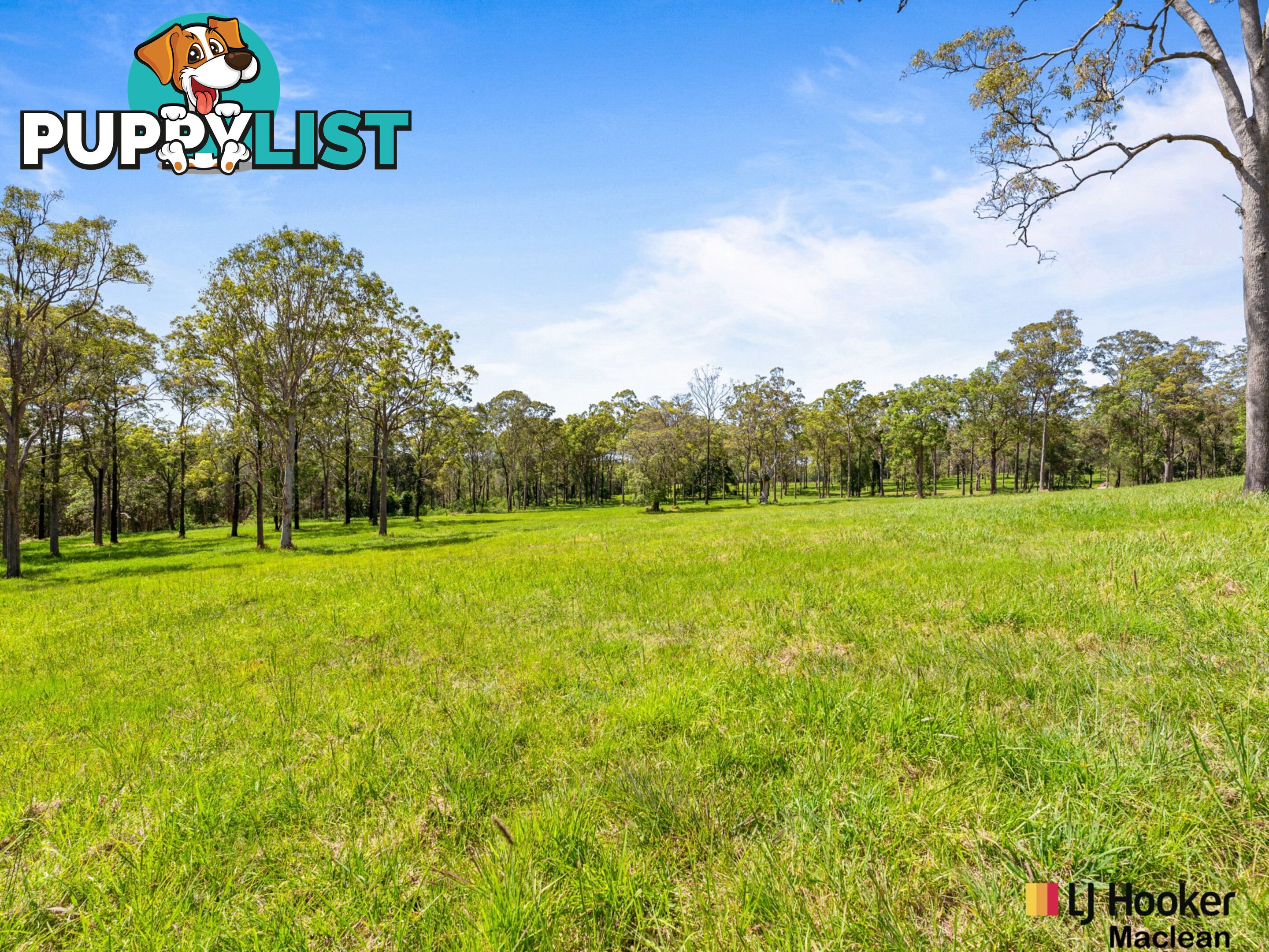 Lot 1 Bondi Hill Road, Tyndale Via MACLEAN NSW 2463