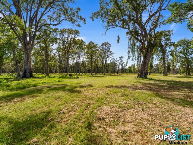 Lot 1 Bondi Hill Road, Tyndale Via MACLEAN NSW 2463