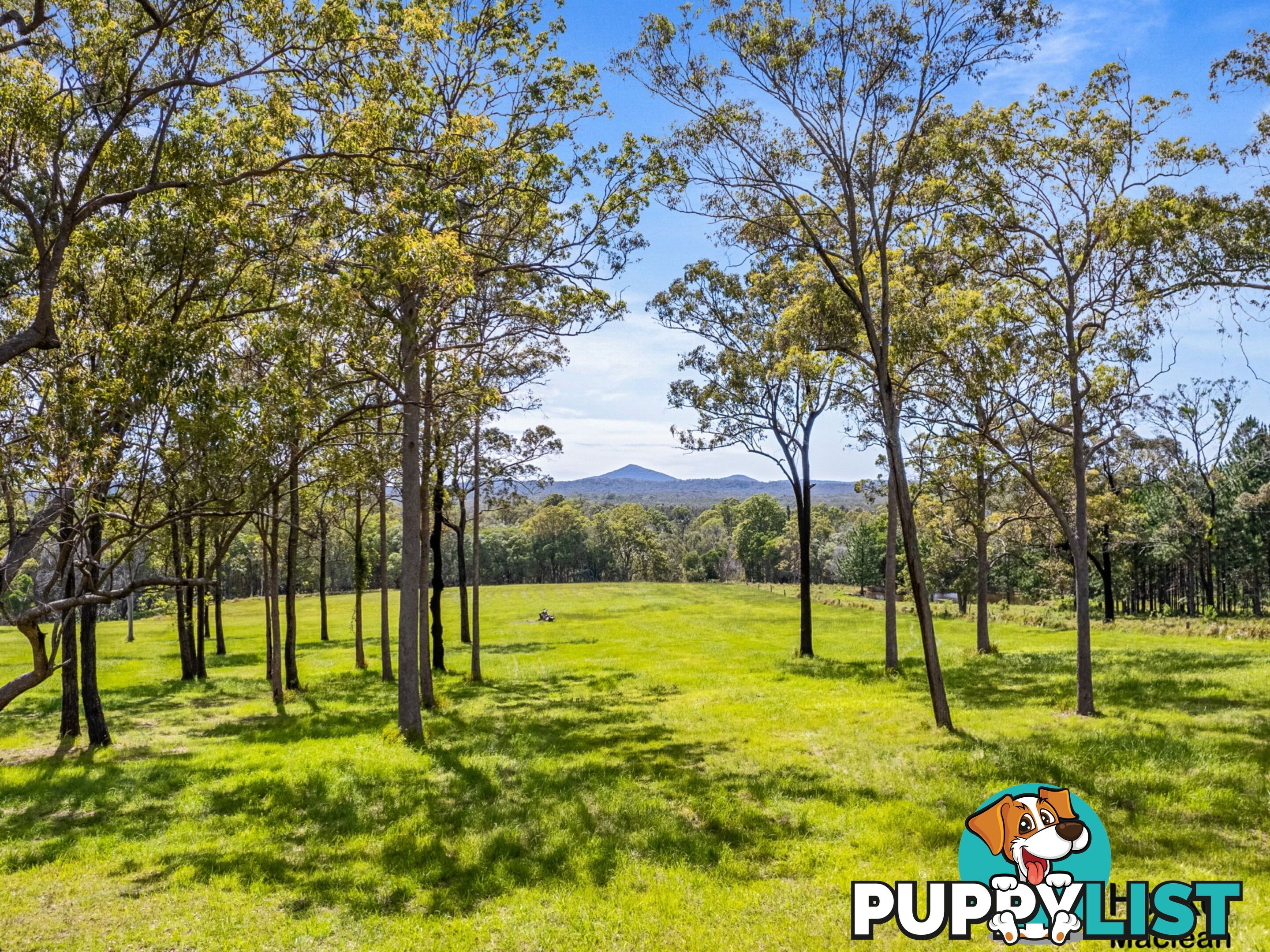 Lot 1 Bondi Hill Road, Tyndale Via MACLEAN NSW 2463