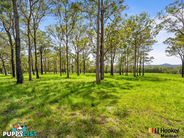 Lot 1 Bondi Hill Road, Tyndale Via MACLEAN NSW 2463