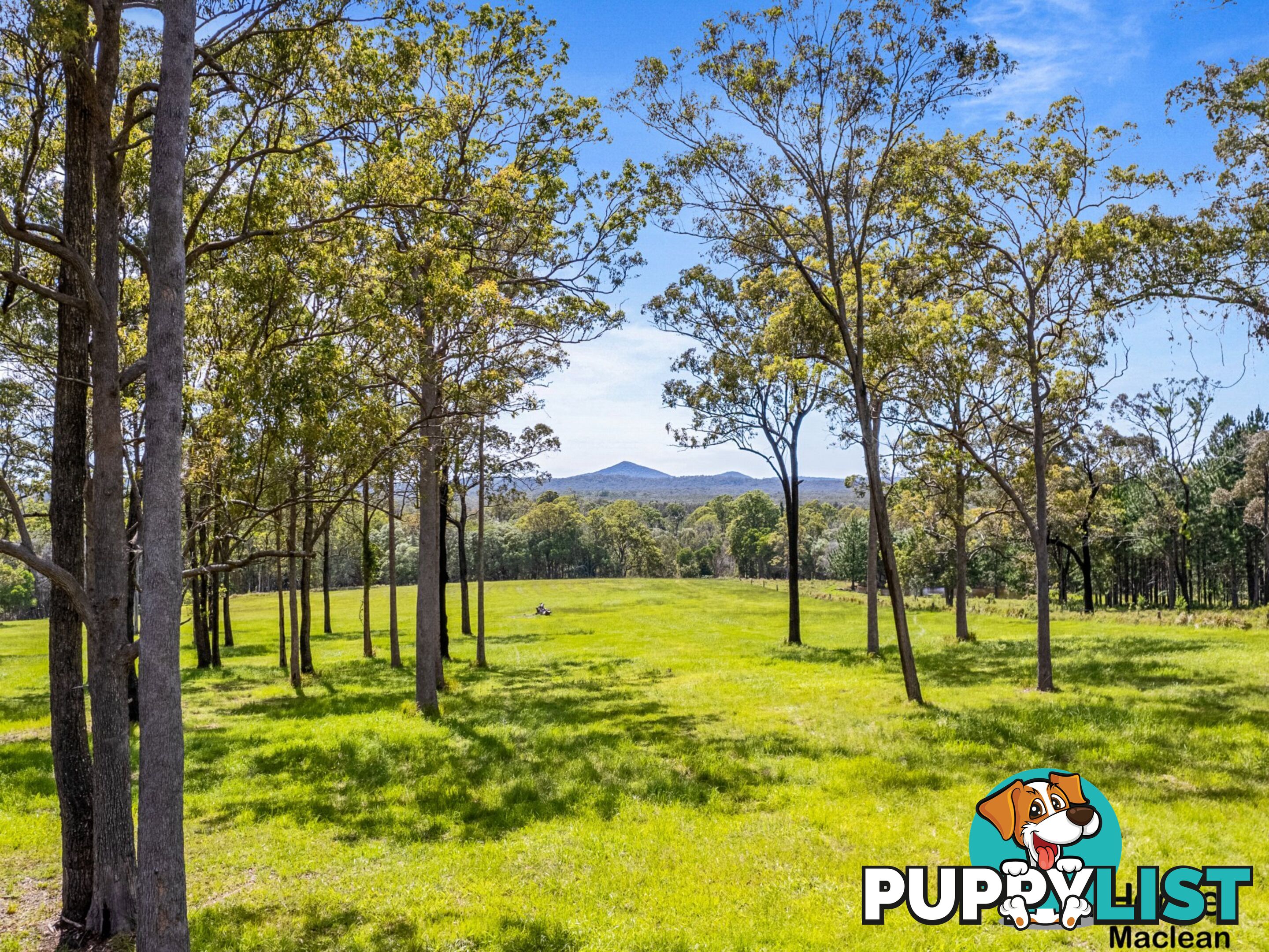 Lot 1 Bondi Hill Road, Tyndale Via MACLEAN NSW 2463