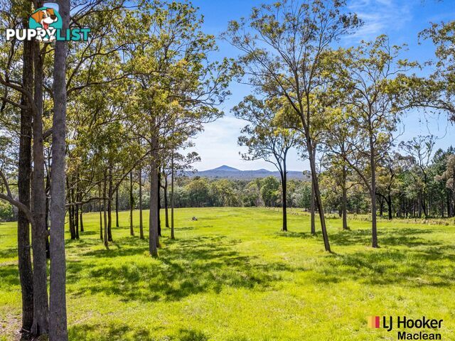 Lot 1 Bondi Hill Road, Tyndale Via MACLEAN NSW 2463