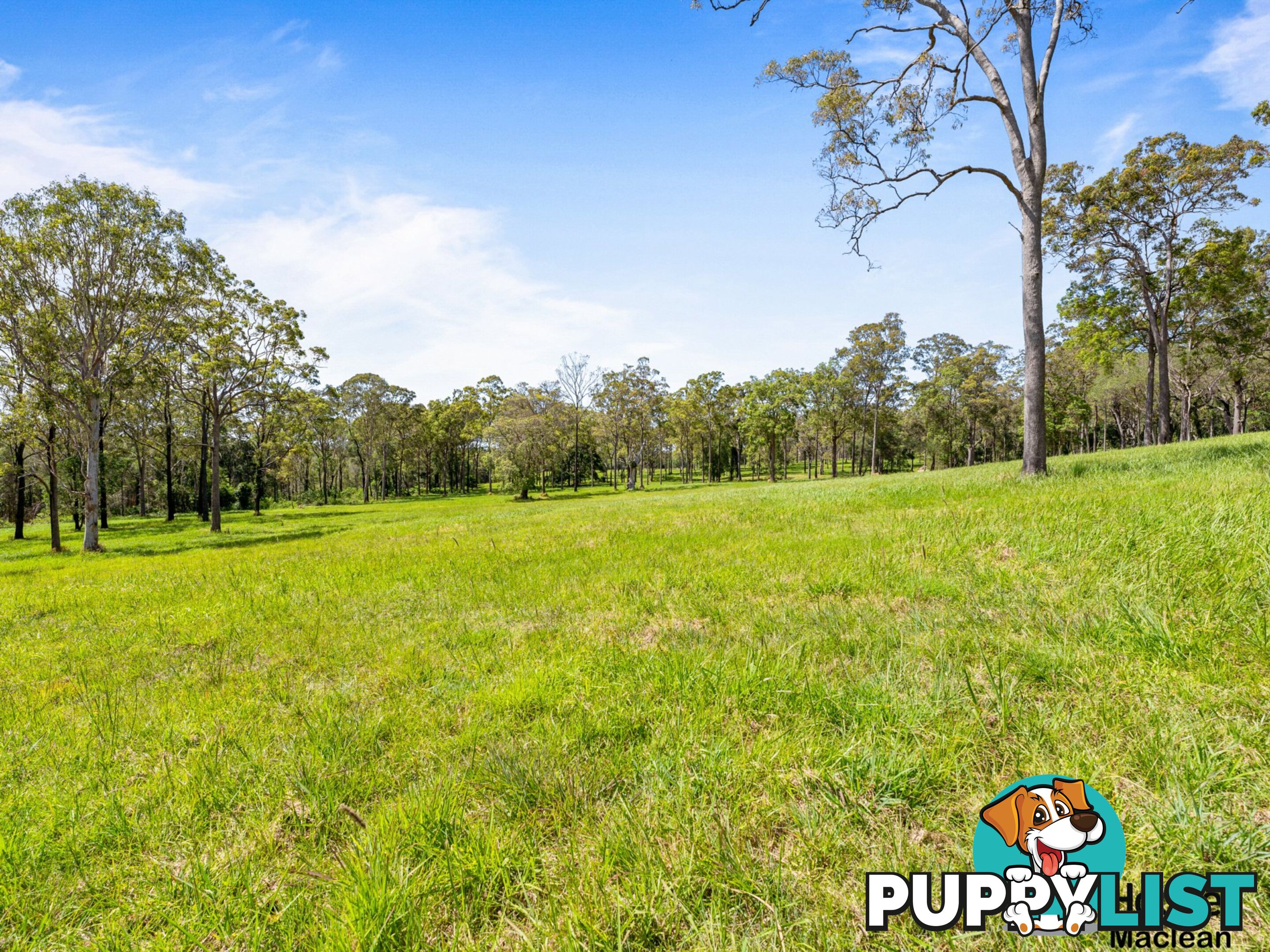 Lot 1 Bondi Hill Road, Tyndale Via MACLEAN NSW 2463