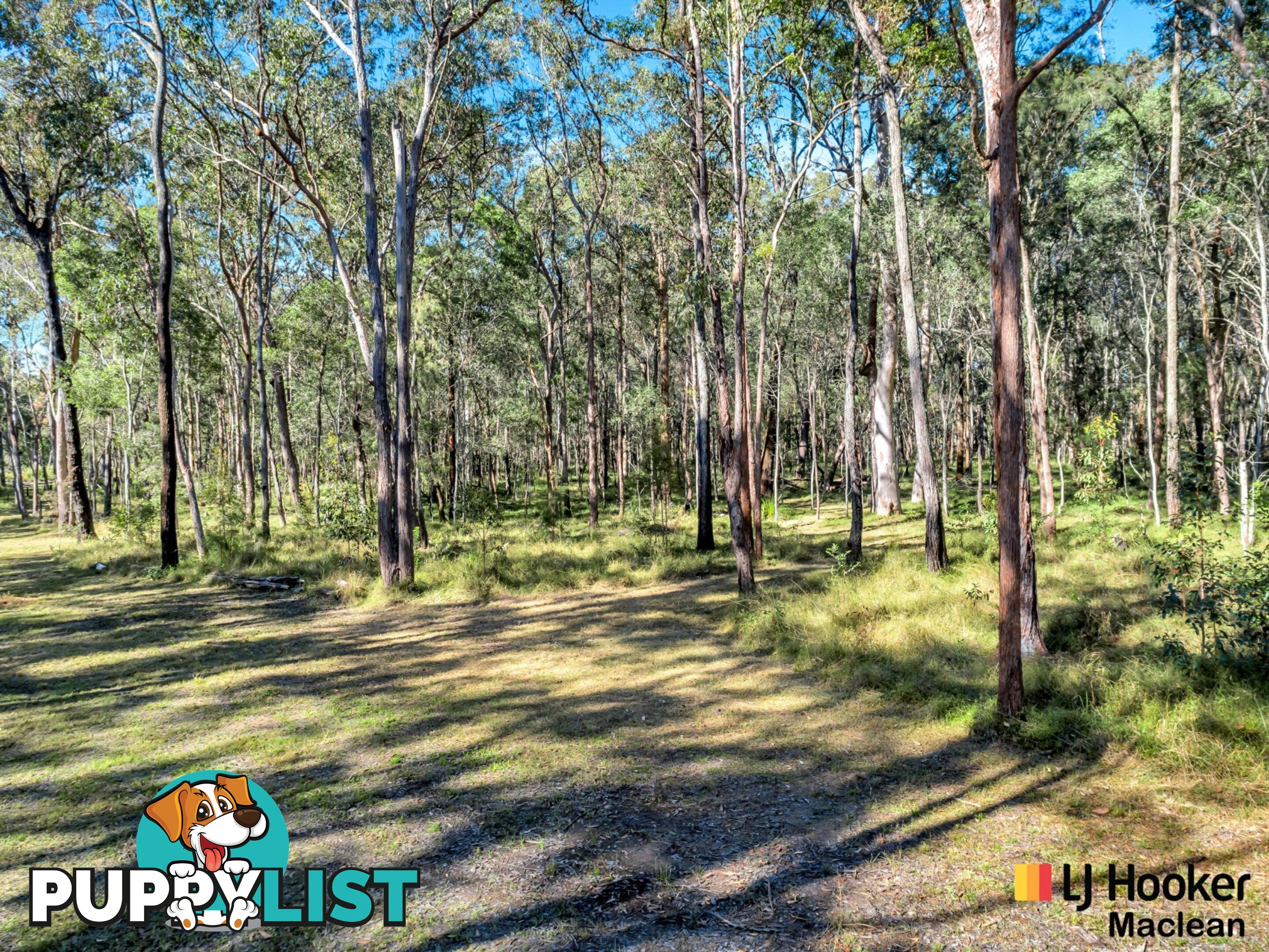 194 Gardiners Road JAMES CREEK NSW 2463