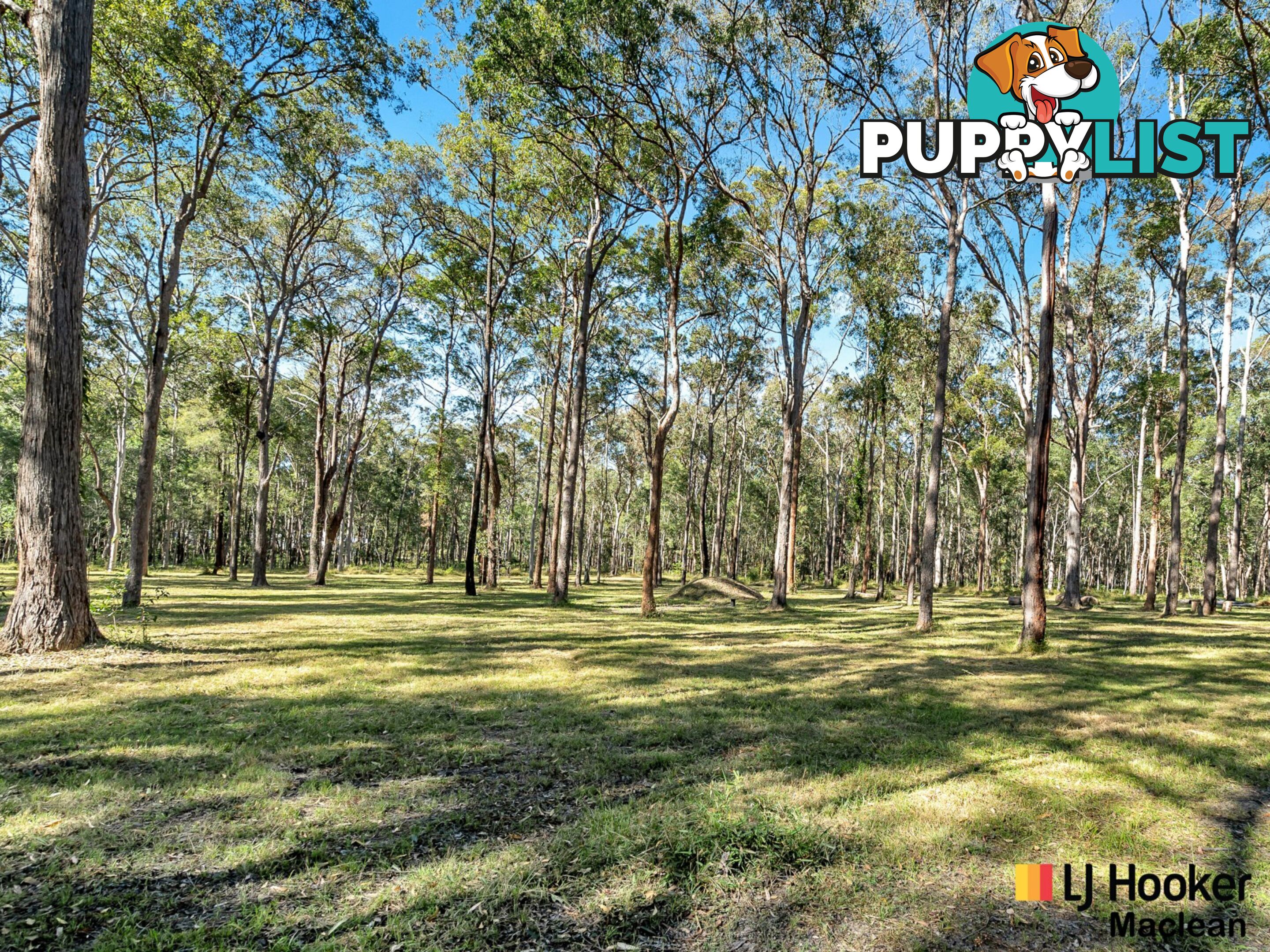 194 Gardiners Road JAMES CREEK NSW 2463