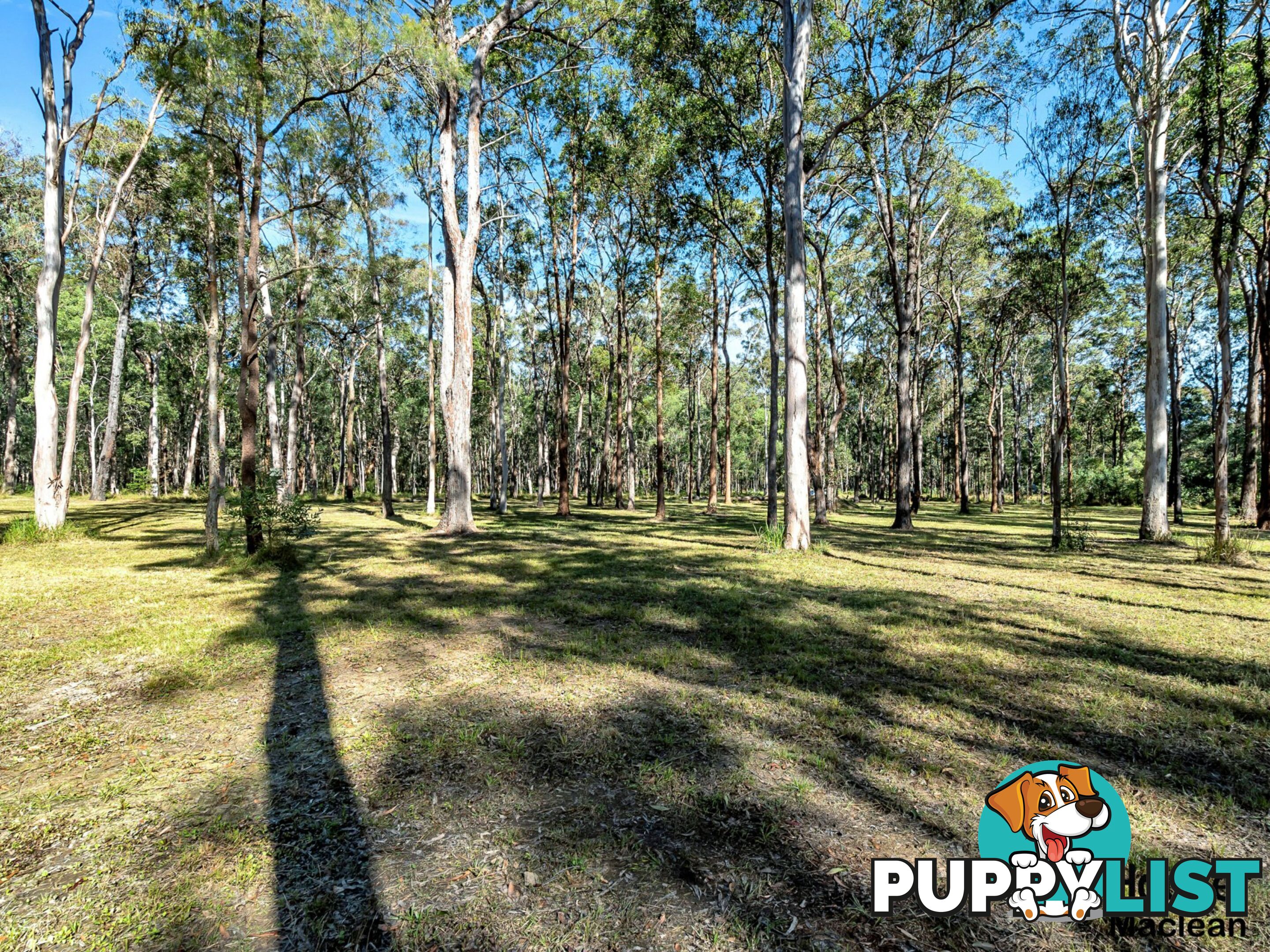 194 Gardiners Road JAMES CREEK NSW 2463