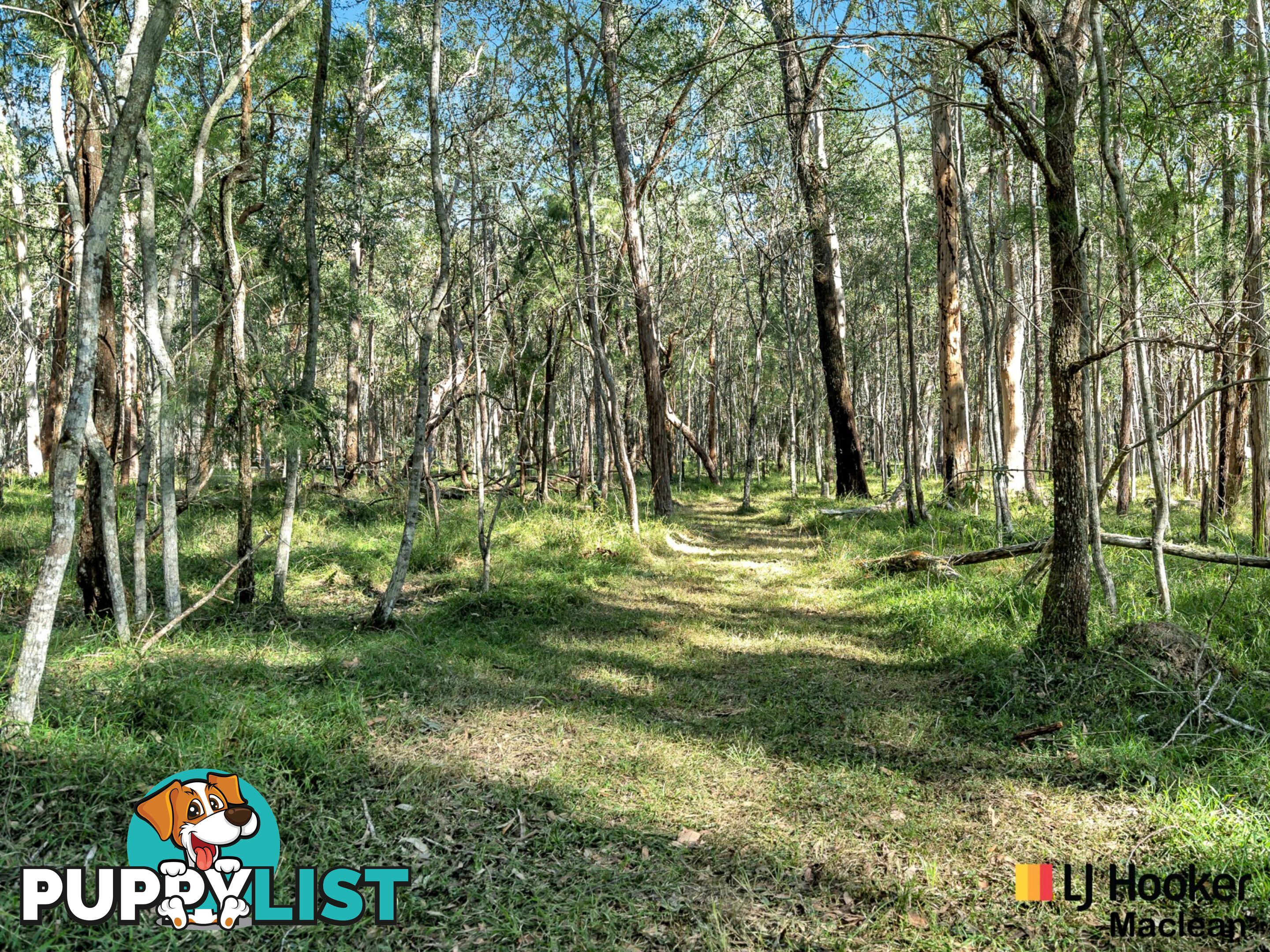 194 Gardiners Road JAMES CREEK NSW 2463