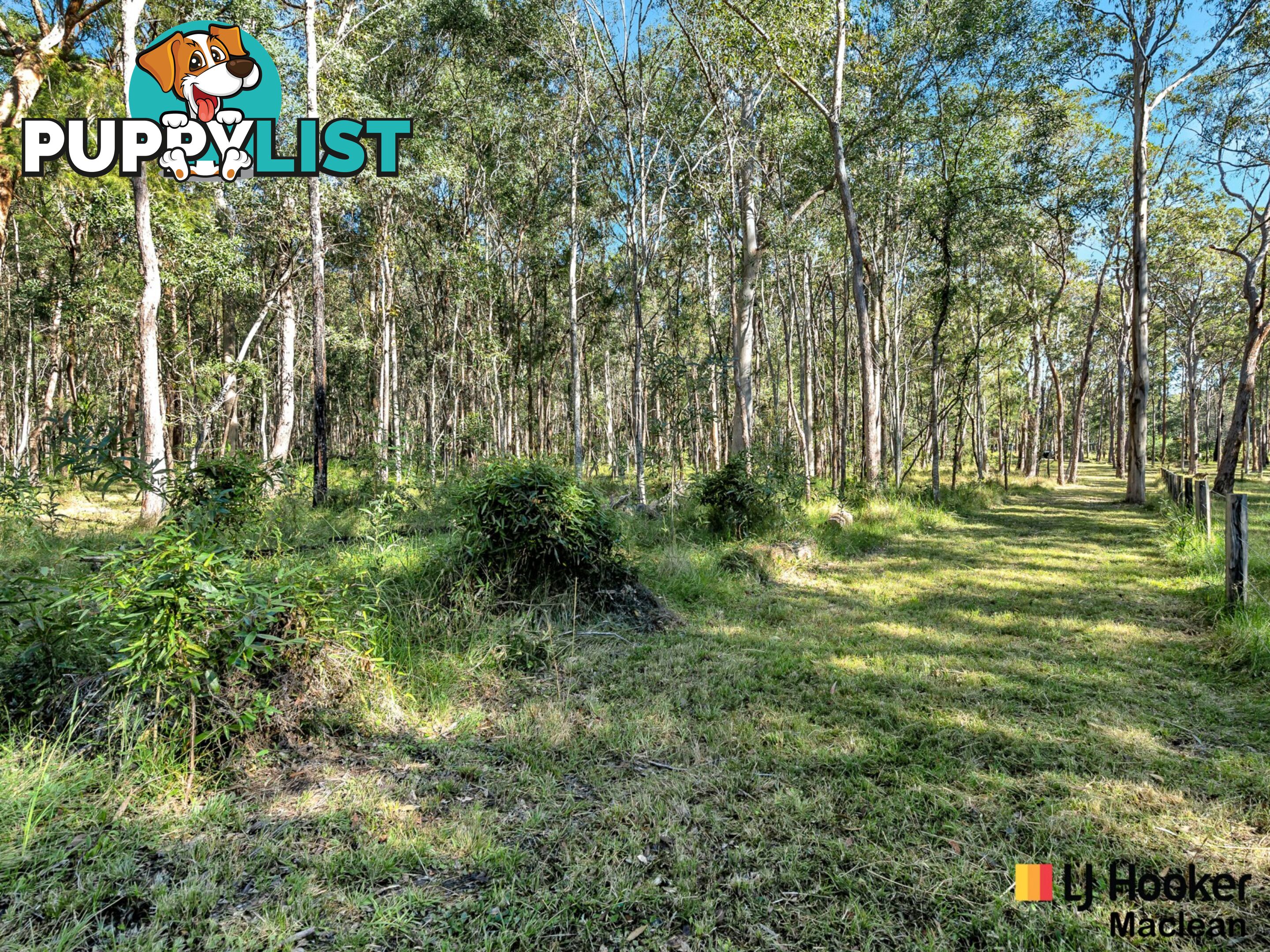 194 Gardiners Road JAMES CREEK NSW 2463