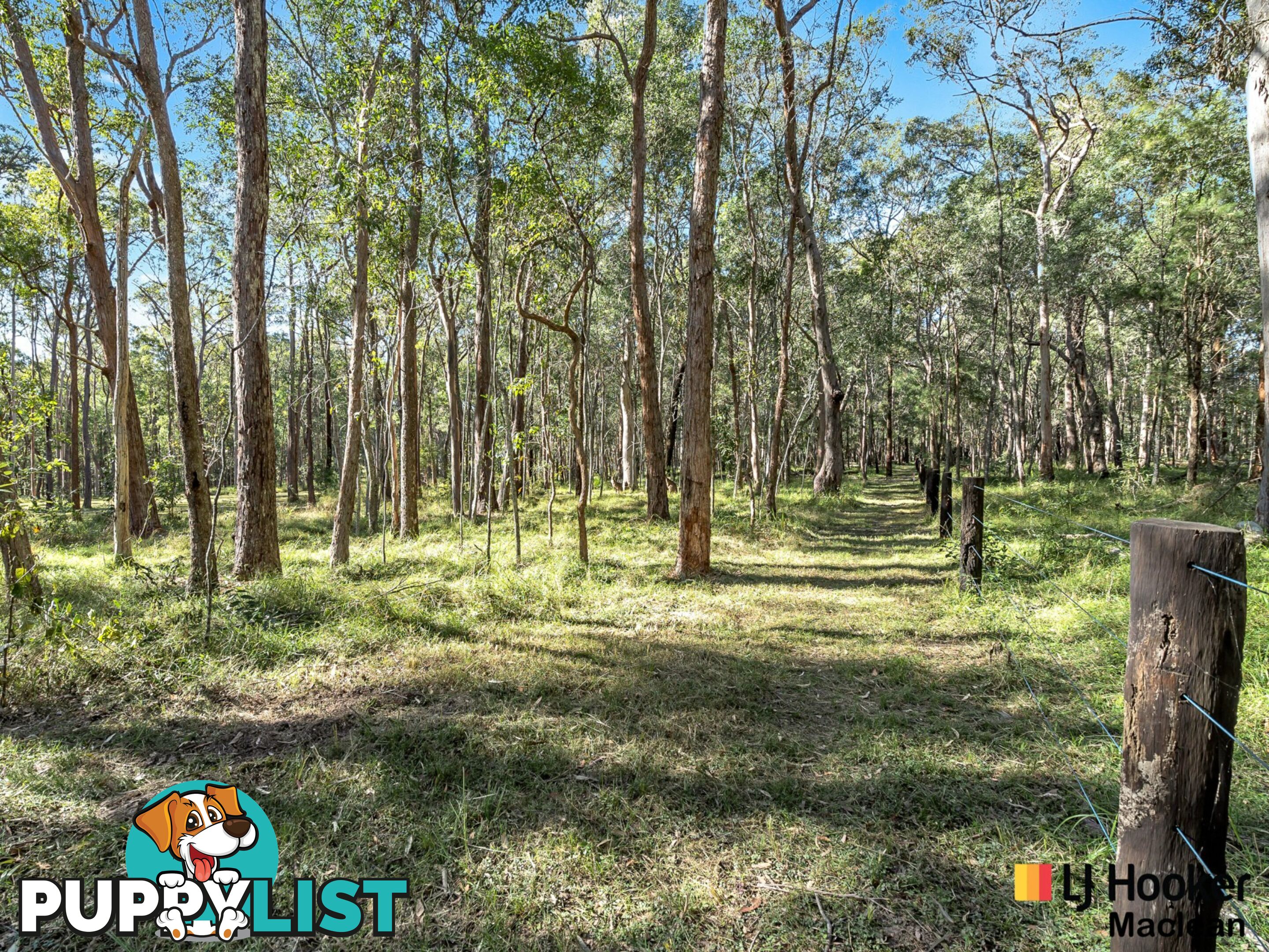 194 Gardiners Road JAMES CREEK NSW 2463