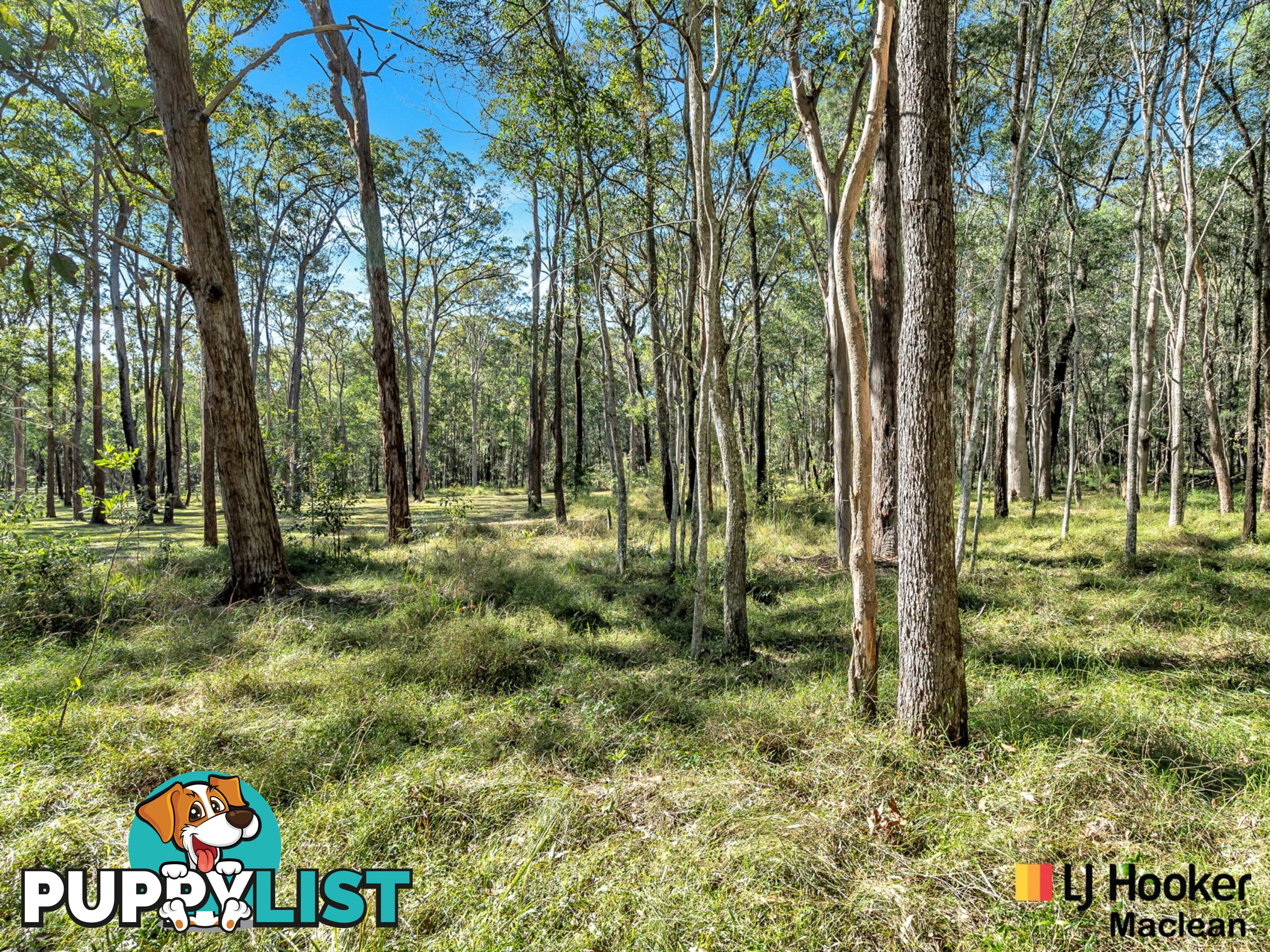 194 Gardiners Road JAMES CREEK NSW 2463