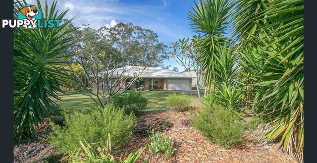 33 Gecko Court WOOMBAH NSW 2469