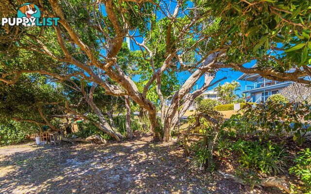 69 Ocean Road BROOMS HEAD NSW 2463