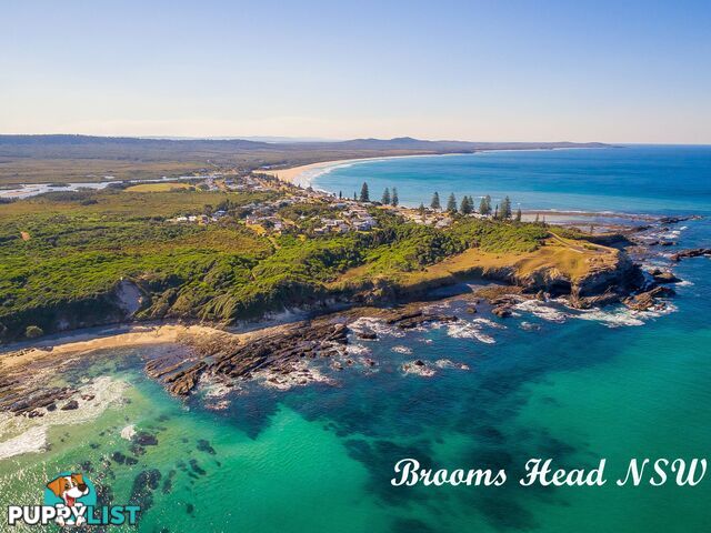 968A Brooms Head Road TALOUMBI NSW 2463