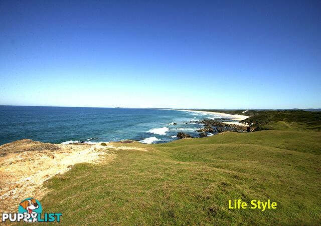 62 Brooms Head Caravan Park BROOMS HEAD NSW 2463