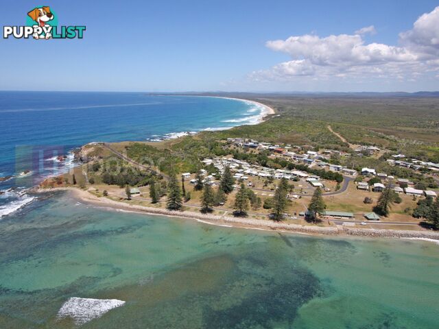 62 Brooms Head Caravan Park BROOMS HEAD NSW 2463