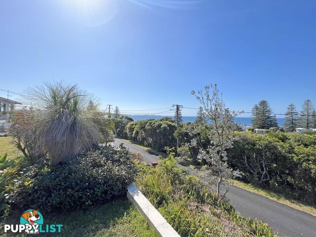 138 Ocean Road BROOMS HEAD NSW 2463