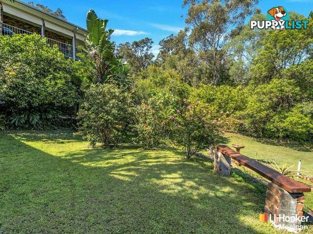 36 Clarence Street MACLEAN NSW 2463