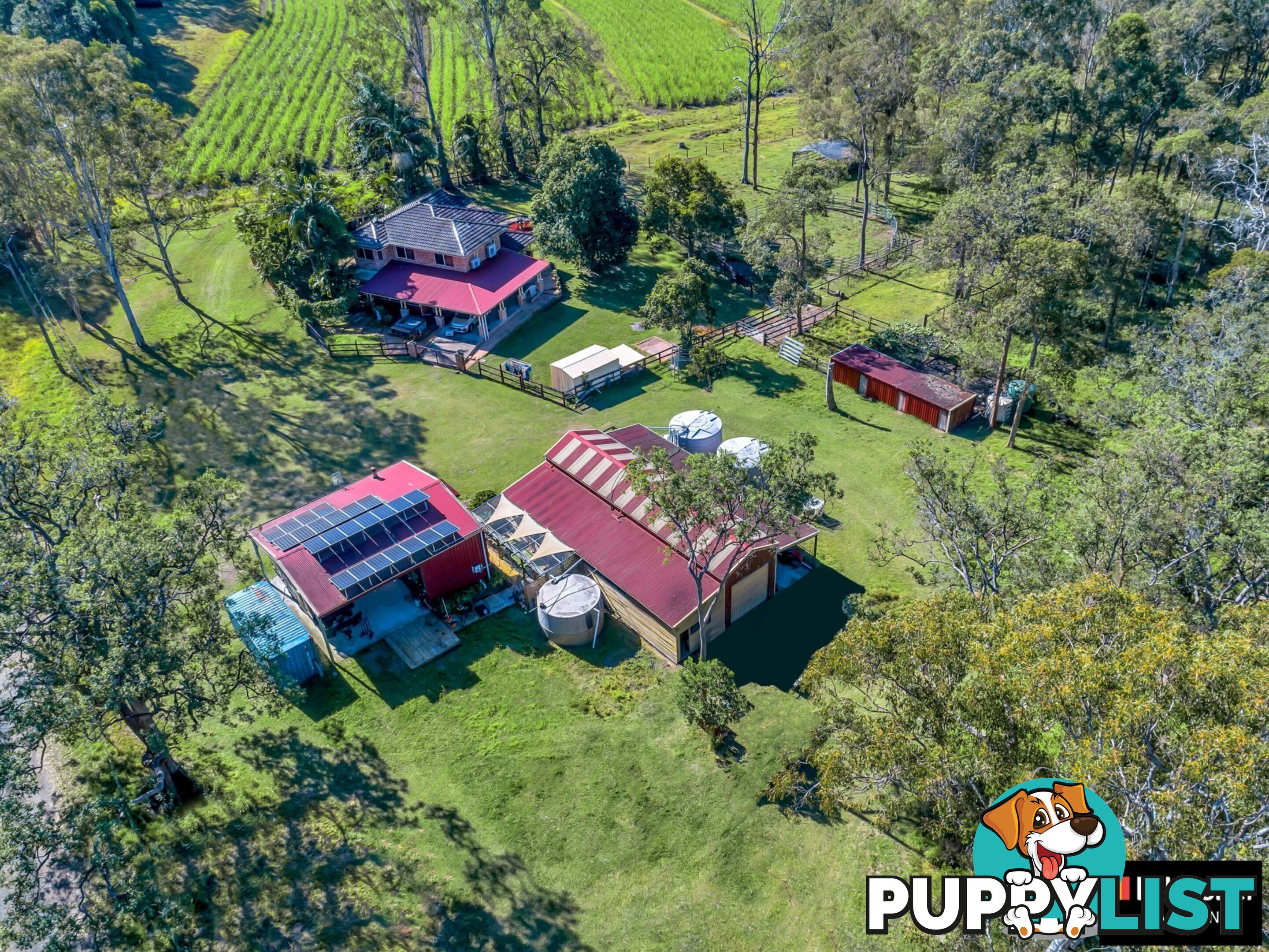 130 Fitzgeralds Lane TYNDALE NSW 2460