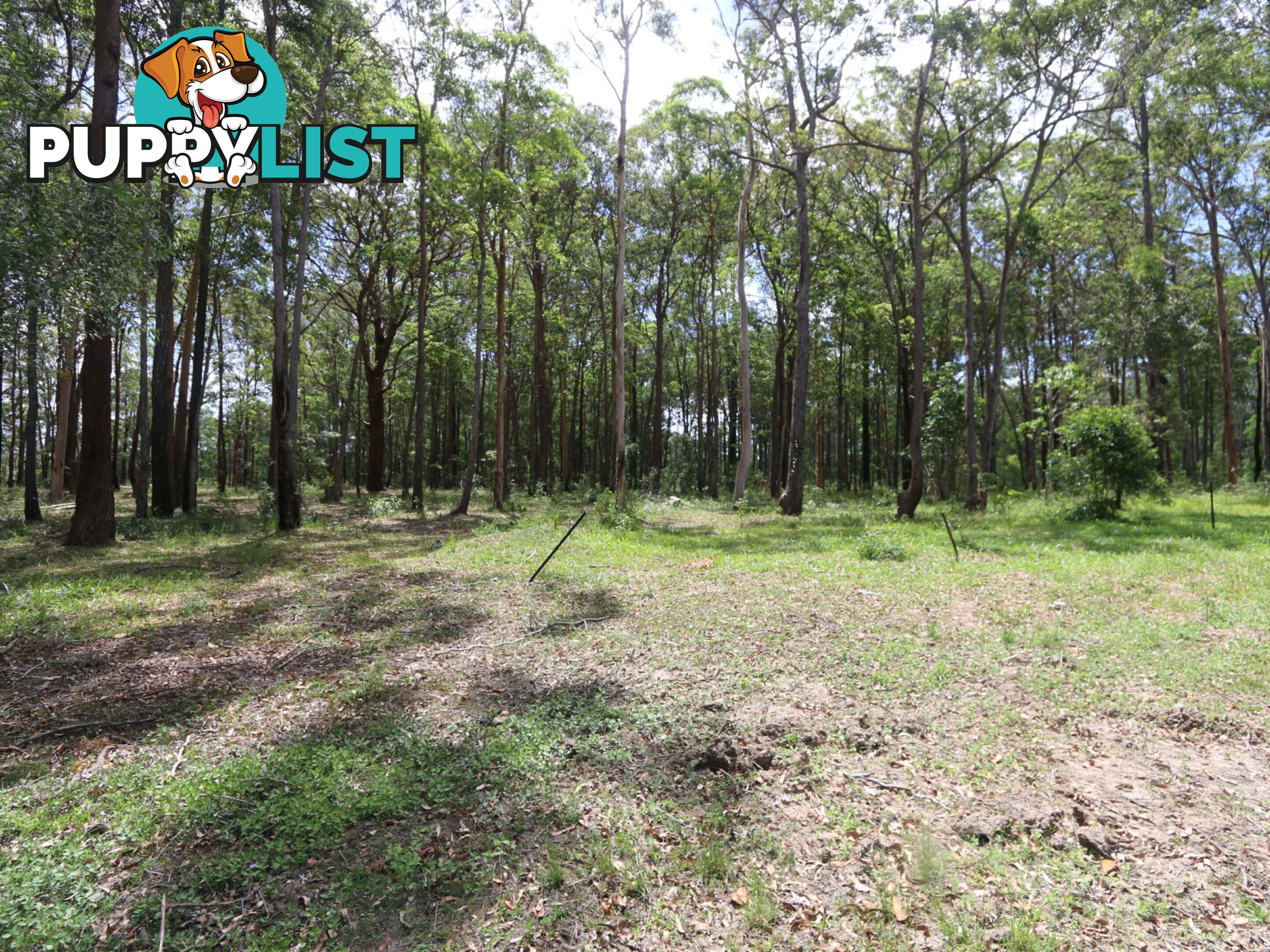 Lot 6 West Street WOOMBAH NSW 2469